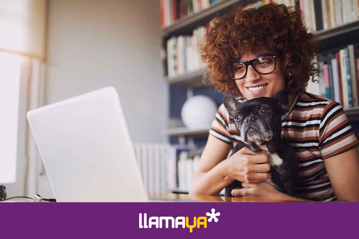 Preguntas frecuentes sobre los servicios LlamaYA Blog LlamaYa