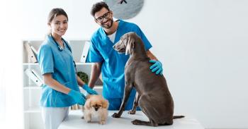 Las mejores apps de veterinarios para Android